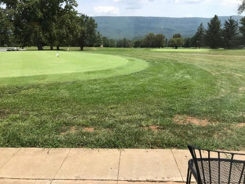 Shenvalee Golf Resort image 14